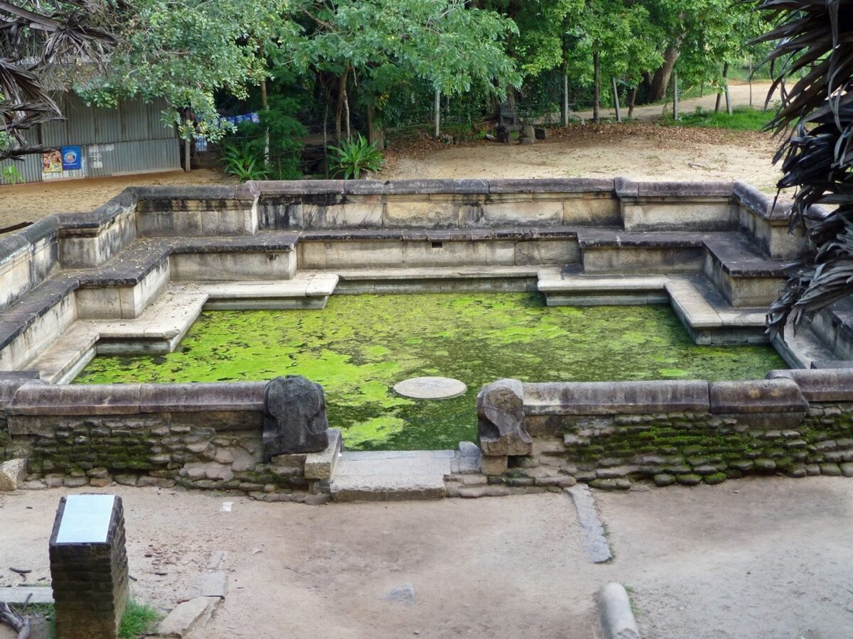 Celojums_uz_Srilanku_2026_12.jpeg