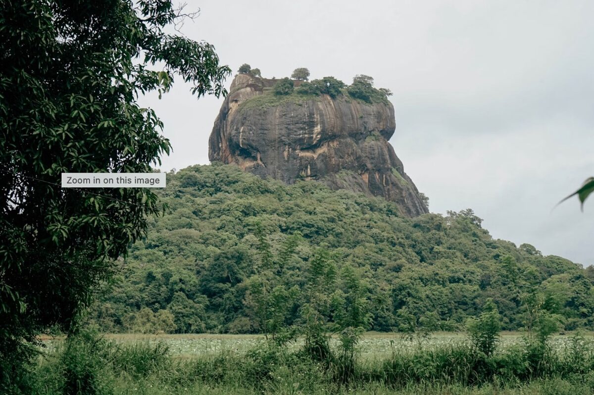 Celojums_uz_Srilanku_2026_5.jpeg
