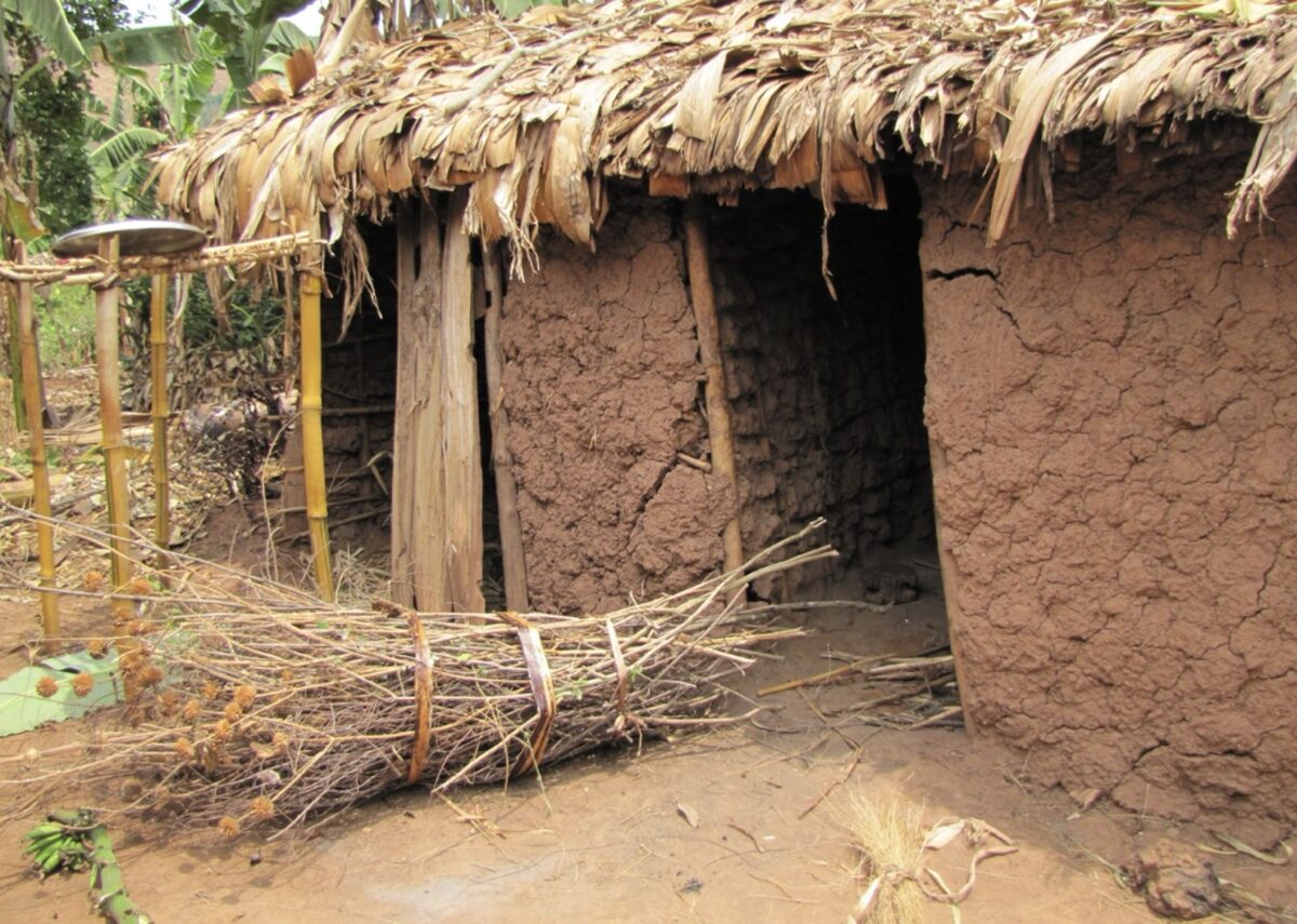 Celojums_uz_Tanzaniju_2026_10.jpeg