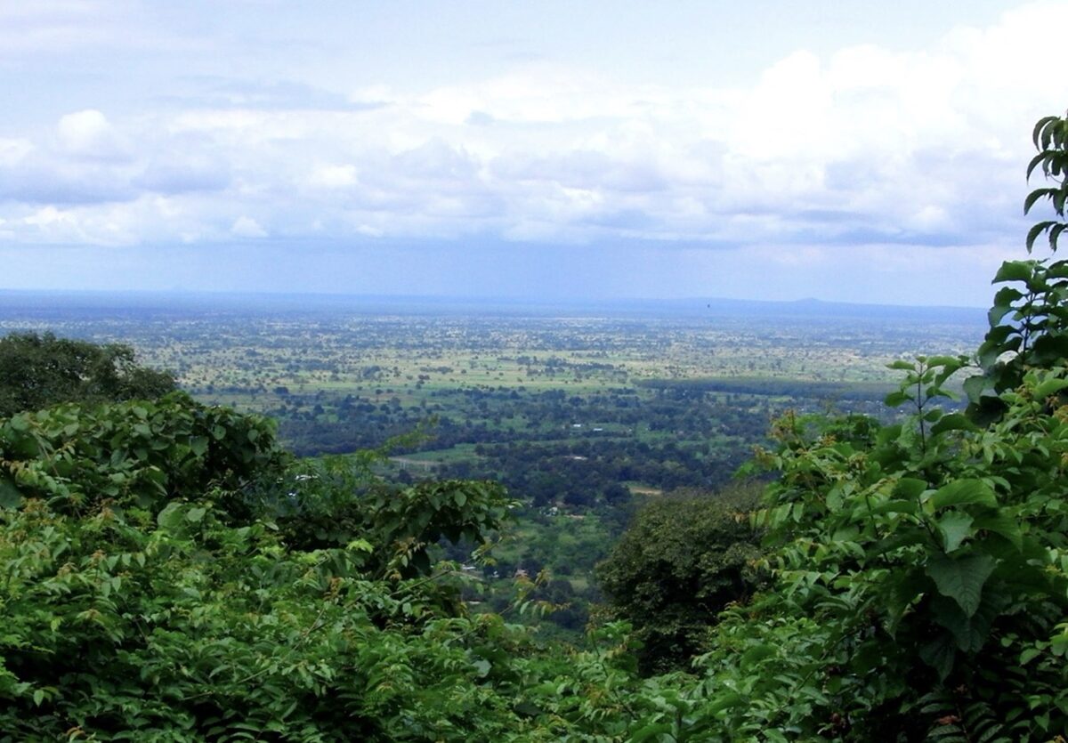 Celojums_uz_Tanzaniju_2026_12.jpeg